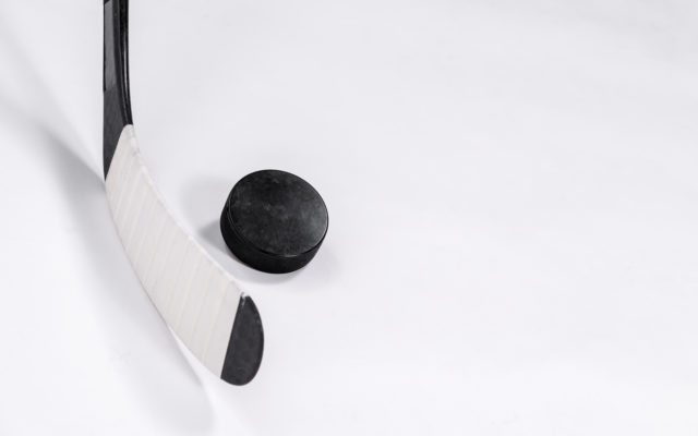 Pair of Bruins selected in USHL draft
