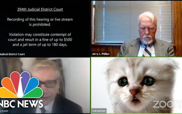 VIDEO: Lawyer Unable To Turn Off Cat Zoom Filter During Virtual Court Session