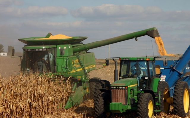 Area agronomist discusses soybean and corn harvests in southeastern Minnesota