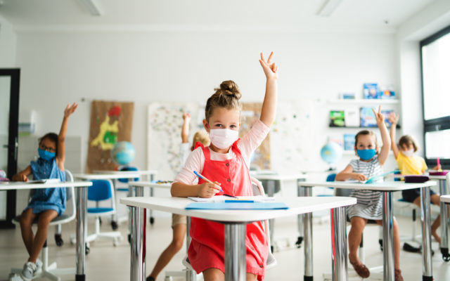 American Academy of Pediatrics: Every student should wear masks in school this Fall