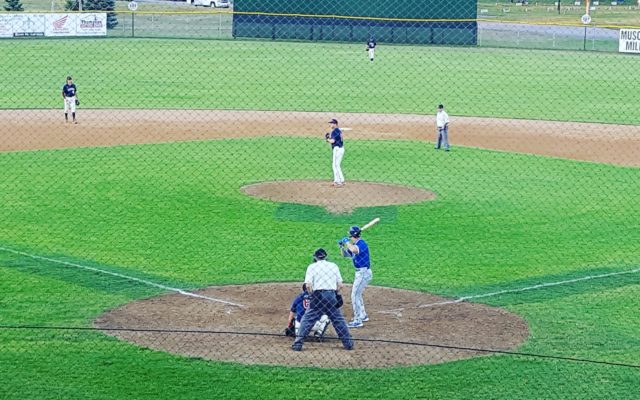 Austin Greyhounds fall to Rochester Royals 11-6 Wednesday evening