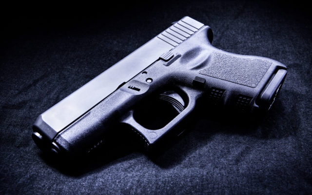 A Wisconsin woman shot her friend, while using a gun’s laser to play with a cat