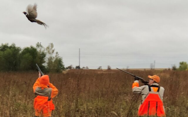 Worthington to host 2022 Minnesota Governor’s Pheasant Hunting Opener