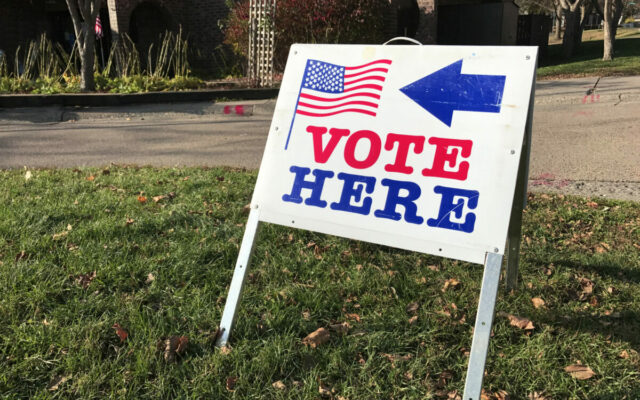 It’s Primary Voting Day in Minnesota