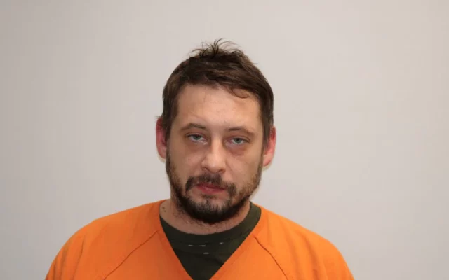 Austin man accused of being involved in fatal hit-and-run accident while intoxicated in southeast Austin pleading not guilty in Mower County District Court