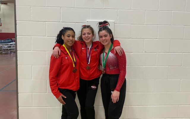 Austin Packers gymnastics team sends three to state meet at Section 1A meet in Austin Saturday